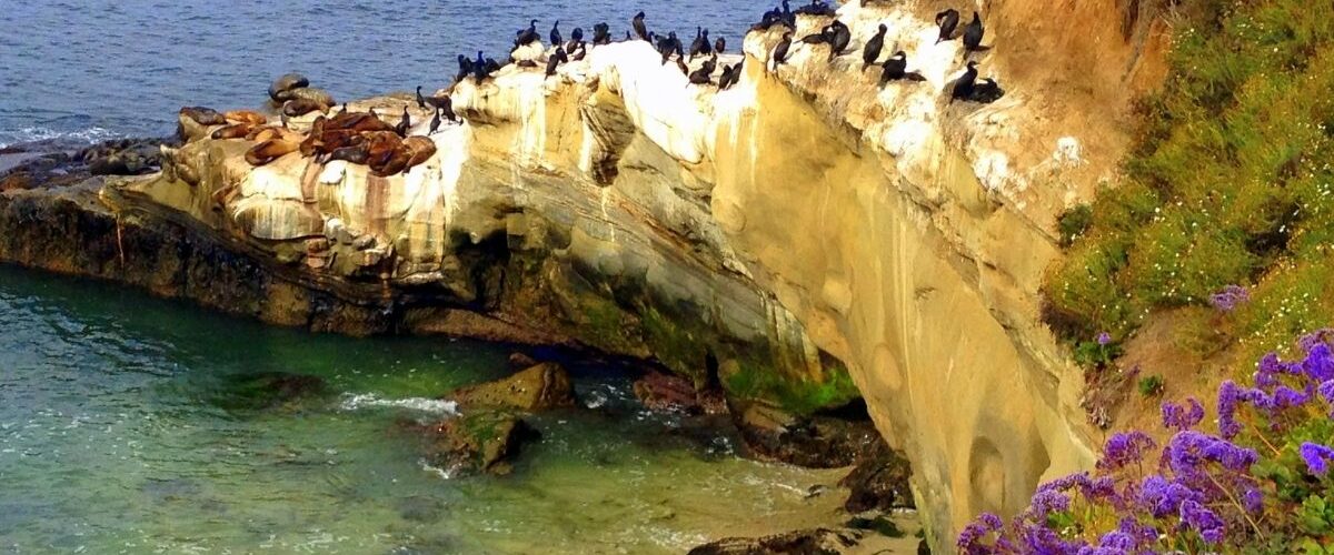 Things to do in La Jolla CA