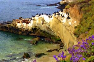 A Visit to the Nature Lovers Paradise of La Jolla, CA