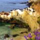 Things to do in La Jolla CA