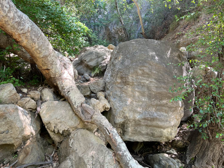Boulders on the trail