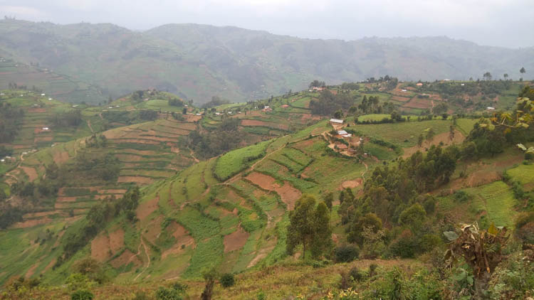 Bwindi settlements