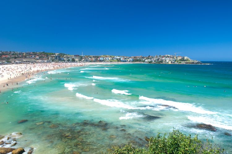 Places to visit in Sydney Bondi Beach