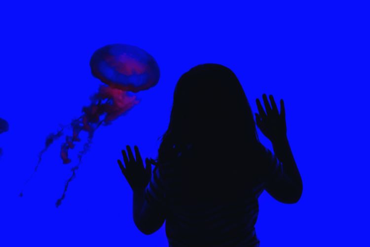 Girl looking at jellyfish in Toronto aquarium