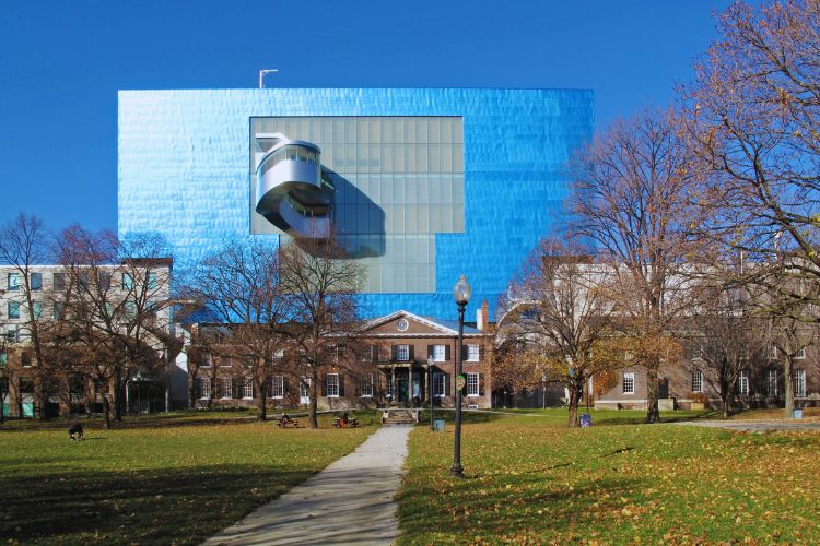 The Art Gallery of Ontario