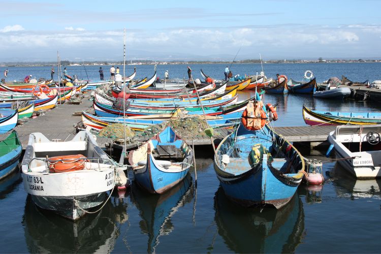 Aveira fishing boats