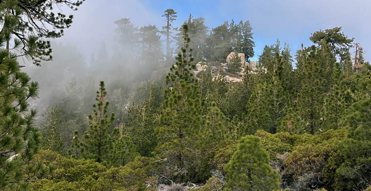 Beautiful scenery of the Skyline Trail