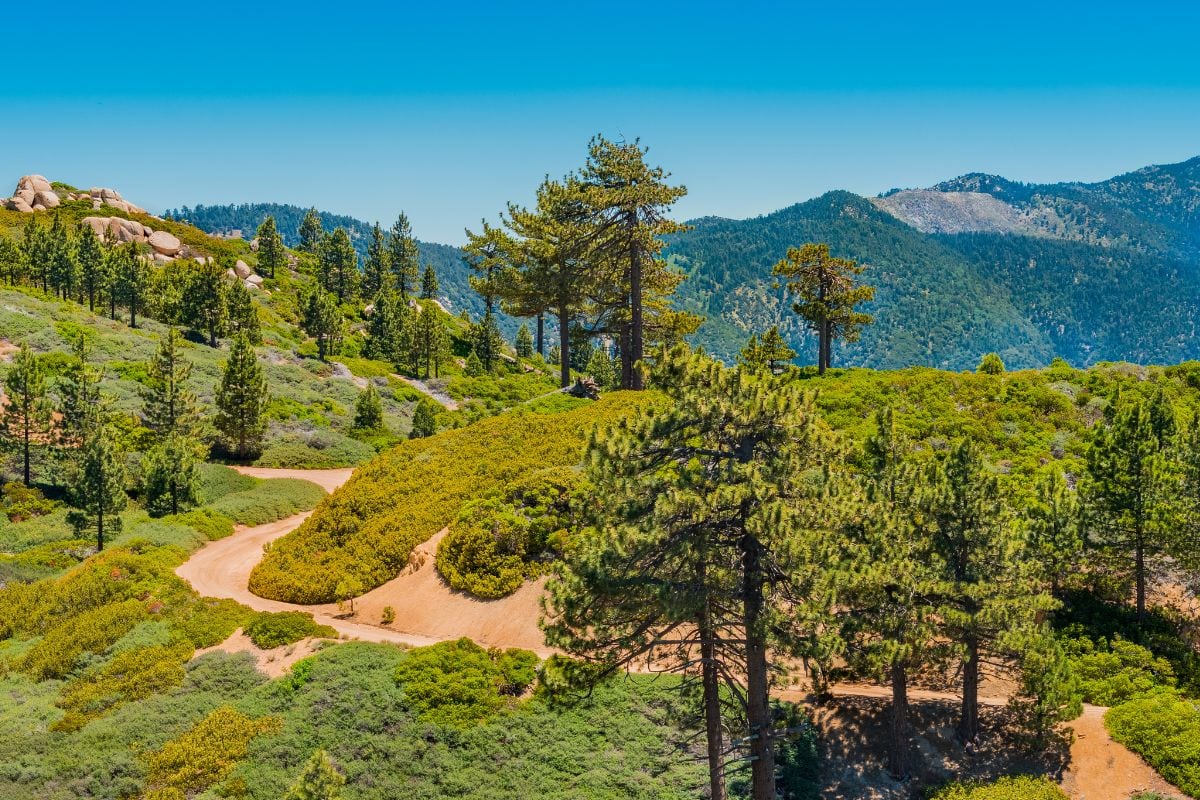 Top Big Bear Lake Hike Pineknot Trail is a Winner