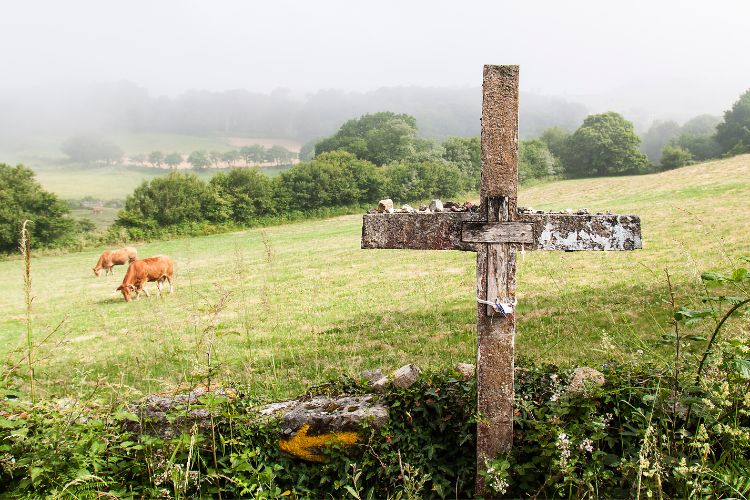 Peaceful scene walking the Camino de Santiago