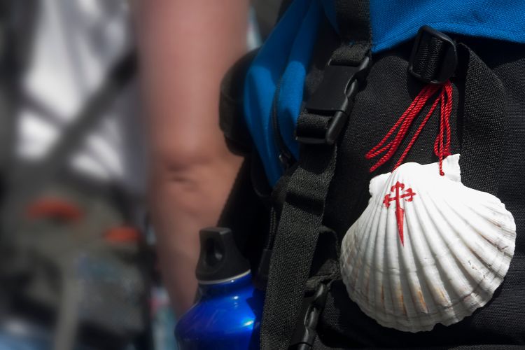 Backpacker with iconic shell