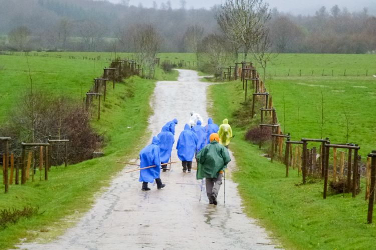 Walking the Camino de Santiago