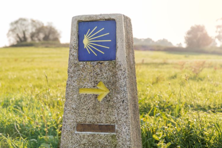 Camino de Santiago signpost 