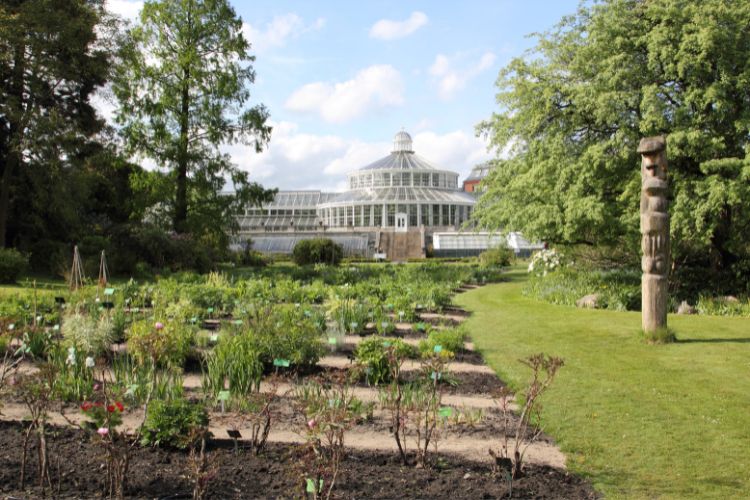 Copenhagen Botanic Garden 