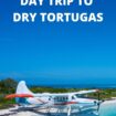 Day trip to Dry Tortugas Florida