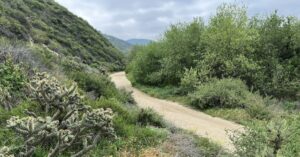 Aliso and Wood Canyons Wilderness Park, an Underestimated Getaway in Orange County, CA