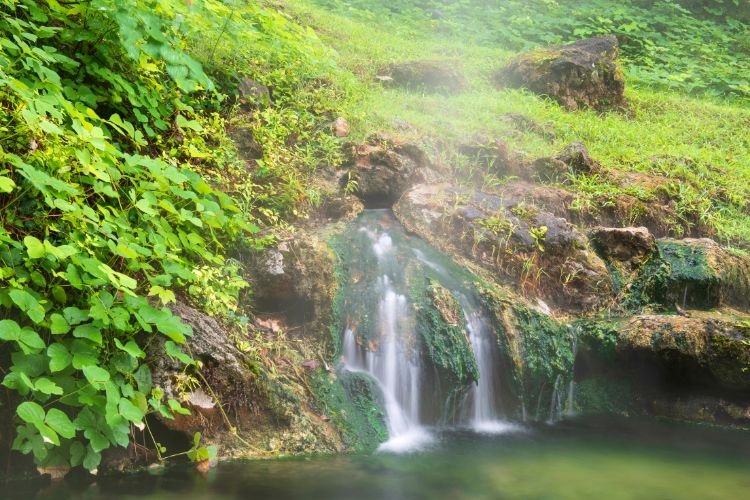 Hot Springs Arkansas National Park waterfall