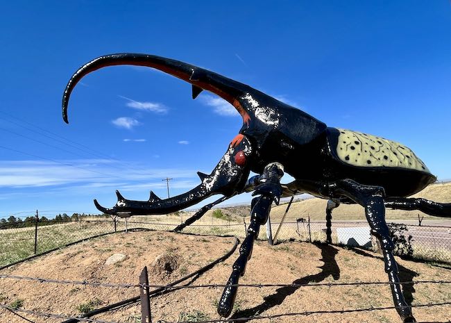 Herkimer - the giant beetle marking the turnoff to May Museum in the Pikes Peak Region. Photo by Claudia Carbone