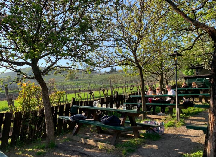 The local heuriger, Weinhof Zimmermann. Photo by Janna Graber