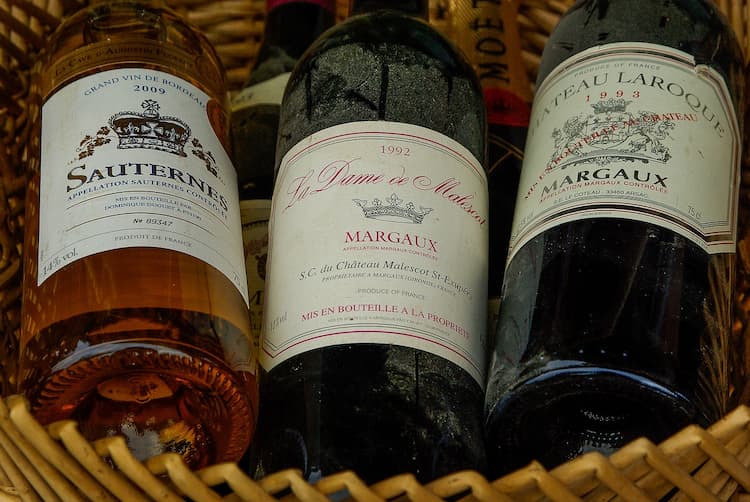 Vine of Bordeaux