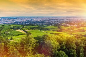 Rolling vineyards overlook Vienna's sprawling cityscape at golden hour. Photo by welcomia via Canva