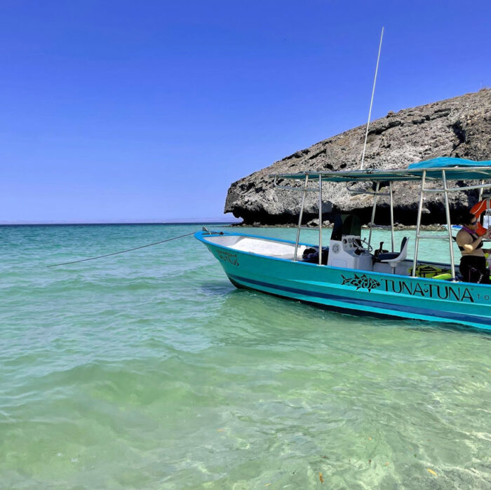 Excursion with Tuna Tuna Tours on the Sea of Cortez
