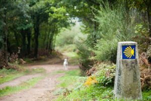 A first-timers experience of walking the Camino de Santiago. Image by percds from Getty Images Signature via Canva