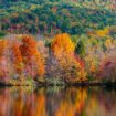 Colorful fall trees. Photo by Jeffery Cullman, Unsplash