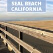 SEAL BEACH CALIFORNIA