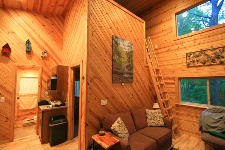 The knotty-pine shiplap interior walls brought the forest inside