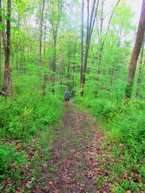 a 1.4 mile round trip hiking trail that runs around the 87 acre property, called the Heart Trail