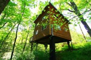 A Tree Top Escape: 3 Nights in a Treehouse