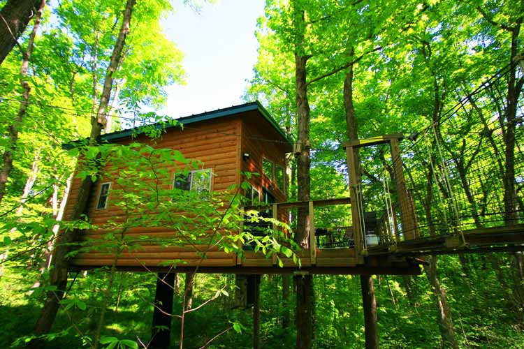 The two-story log cabin in the air blended with the forest surrounding it
