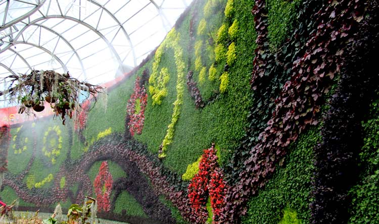 The Calyx at the Royal Botanic Garden. Photo by Ayan Adak