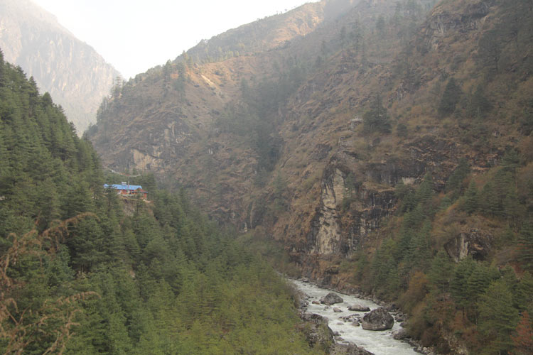 The lush forests that line the valley in Sagarmatha National Park, Nepal. 