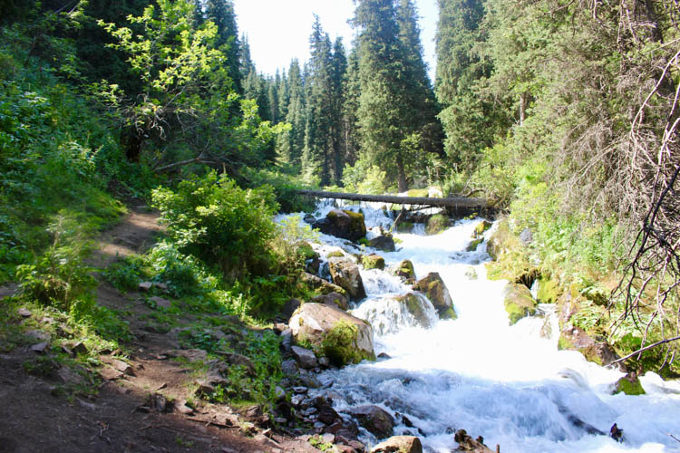 A stream descending down to Issyk Kul. Nature is diverse in Kyrgyzstan