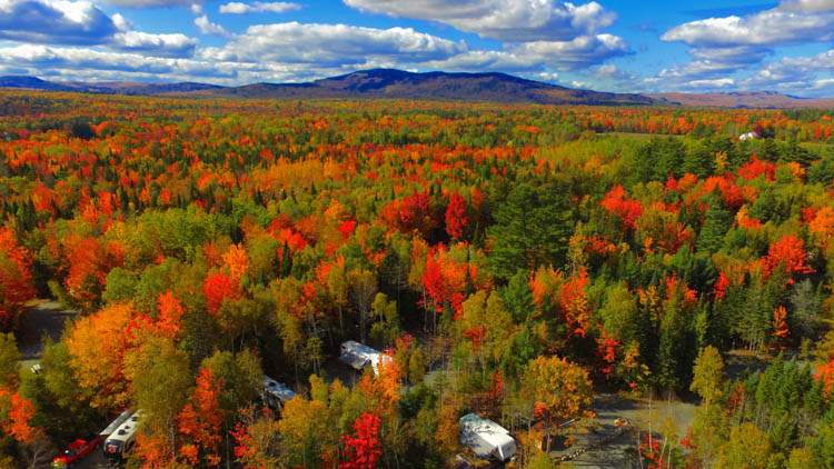 Fall colors Balsam Woods
