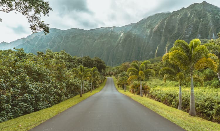 Ho'omaluhia Botanical Garden, Kaneohe, United States. Photo by Darren Lawrence, Unsplash