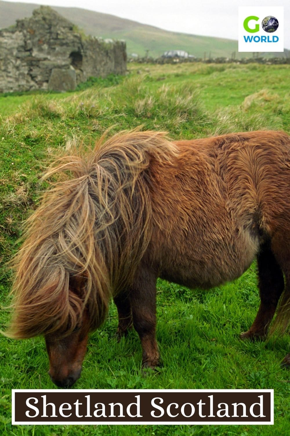 Shetland, Escocia, es el punto más al norte del país Las islas no son fáciles de conseguir pero la impresionante belleza natural lo vale. ://www.goworldtravel.com/wp- content/uploads/2022/09/SHETLAND-ECOSSE-204x306.jpg 204w, https://www.goworldtravel.com/wp- content/uploads/2022/09/SHETLAND- ECOSSE-400x600.jpg 400w