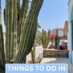 Things to do in Todos Santos Mexico