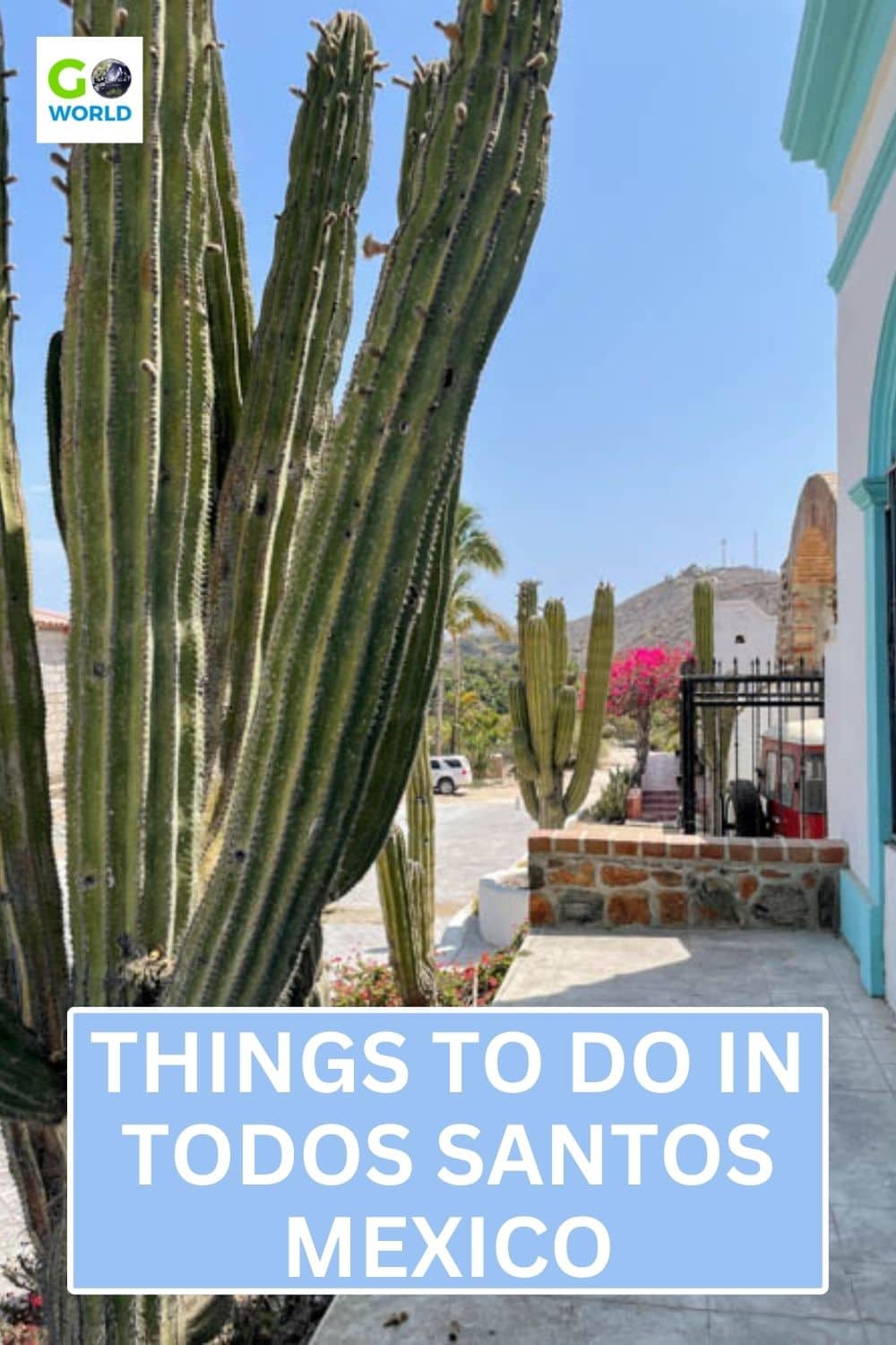 Discover the top things to do in the peaceful town of Todos Santos, Mexico including swimming with whale sharks and releasing sea turtles. #mexico #bajacaliforniasur #todossantos