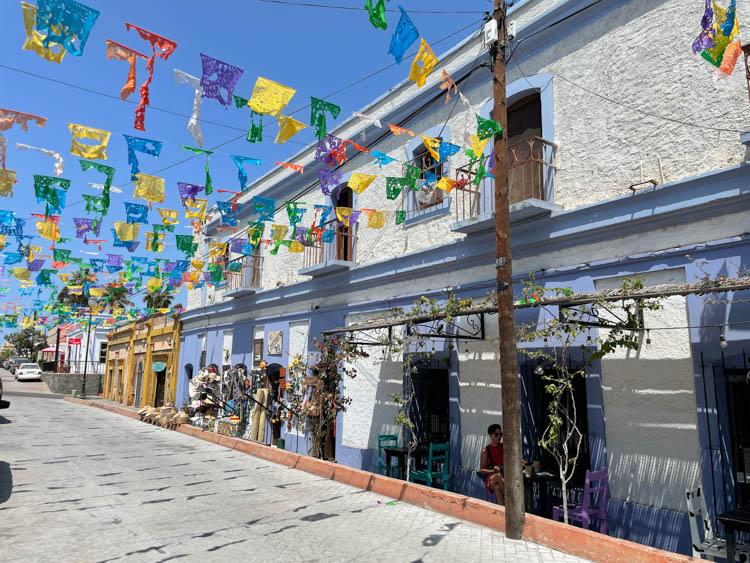 Main street in Todos Santos