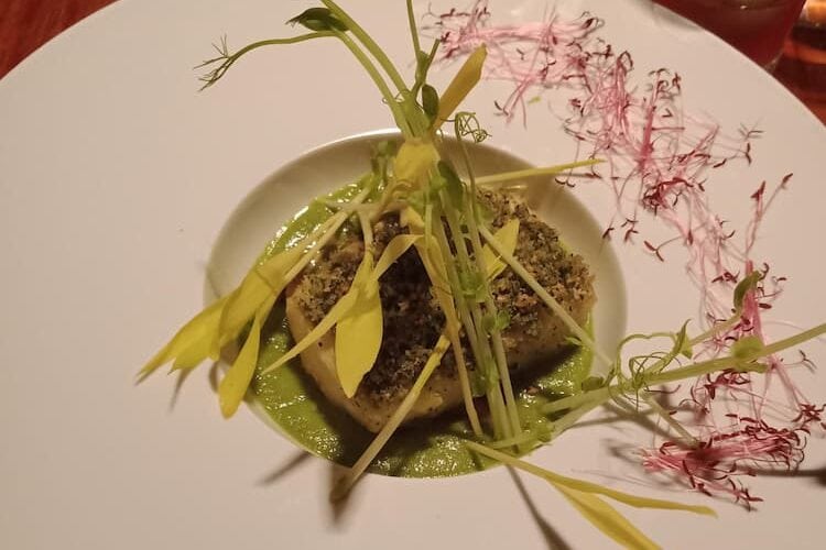 A delicious tofu dish with an herb sauce and garnished with corn sprouts and pink flowers. Photo by Sandy Page