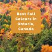 Best Fall Colours in Ontario, Canada
