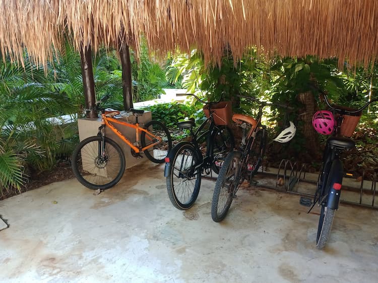 Bikes to ride around the island. Photo by Sandy Page