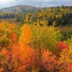 Fall Colours in Ontario