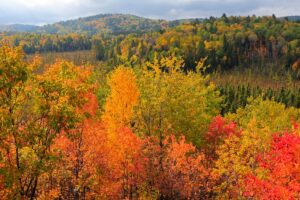 Where to See the Best Fall Colours in Ontario, Canada