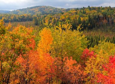Where to See the Best Fall Colours in Ontario, Canada