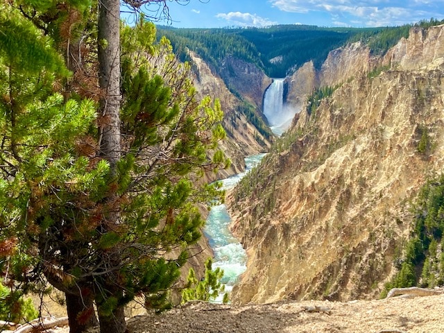 The majesty of adjacent Yellowstone National Park
