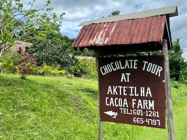 Chocolate Belize