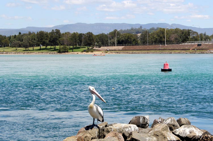 Lake Illawarra. Photo by Ayan Adak