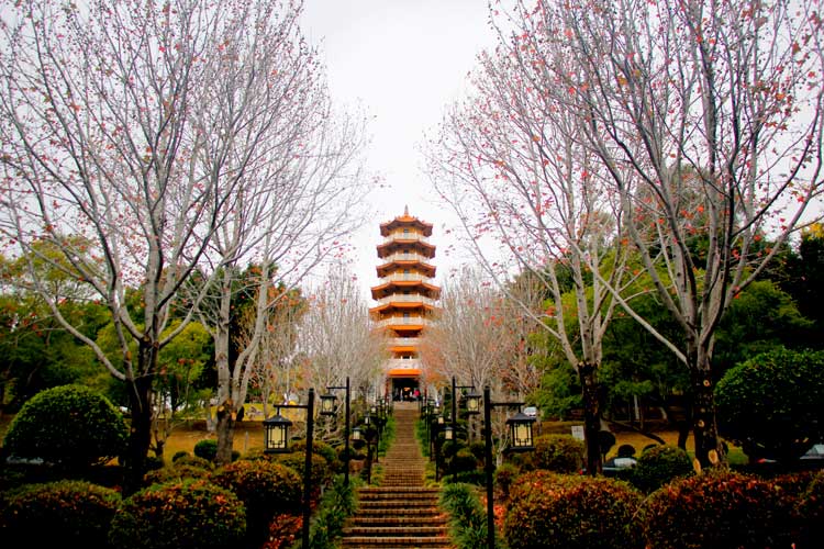 Nan Tien Temple. Photo by Ayan Adak